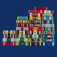 Navy Ceremonial Guard Ribbon